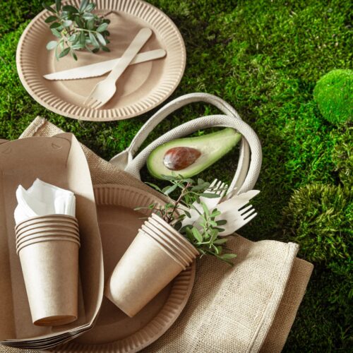 Eco-Friendly Product Lines: Profitable and Sustainable Ventures for Teens